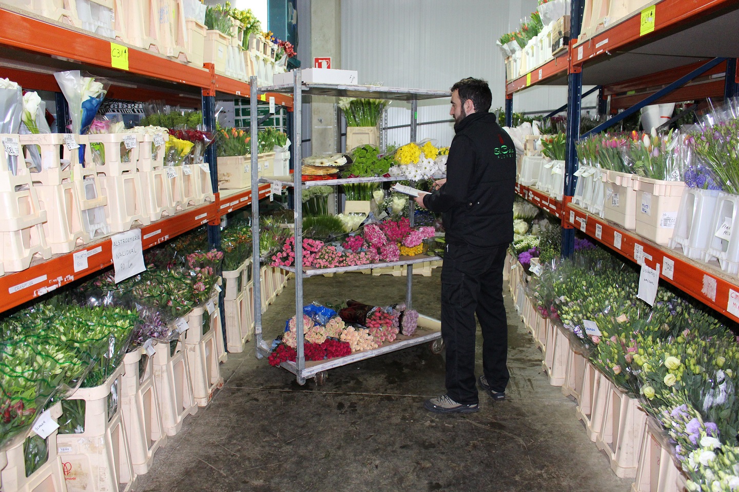 Mayoristas de flor cortada.