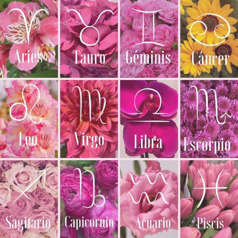 Descubre Que Flor Eres SegÚn Tu HorÓscopo Blog Del Florista 9357